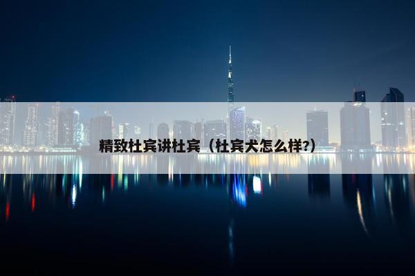 精致杜宾讲杜宾（杜宾犬怎么样?）