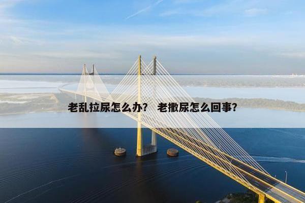 老乱拉尿怎么办？ 老撒尿怎么回事？