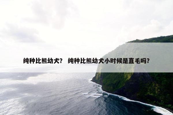 纯种比熊幼犬？ 纯种比熊幼犬小时候是直毛吗？