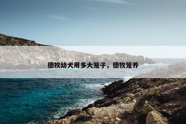 德牧幼犬用多大笼子，德牧笼养