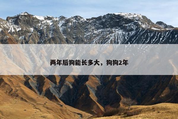 两年后狗能长多大，狗狗2年