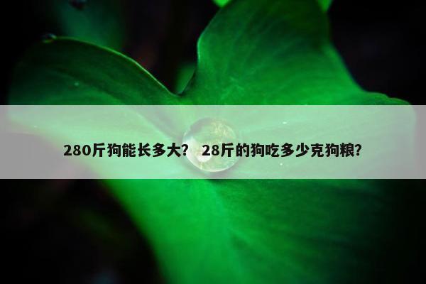 280斤狗能长多大？ 28斤的狗吃多少克狗粮？