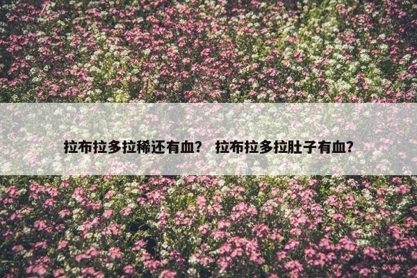 拉布拉多拉稀还有血？ 拉布拉多拉肚子有血？