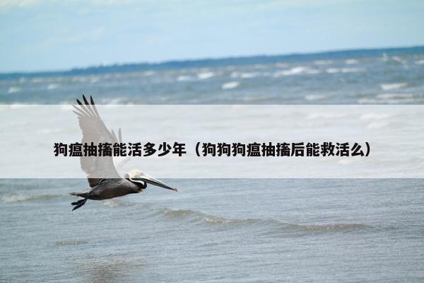 狗瘟抽搐能活多少年（狗狗狗瘟抽搐后能救活么）