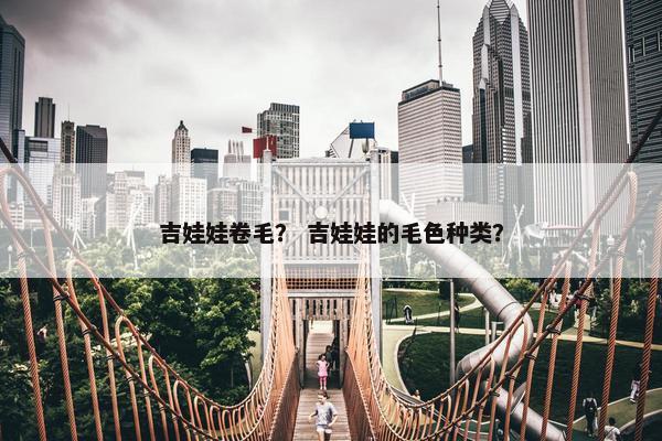 吉娃娃卷毛？ 吉娃娃的毛色种类？