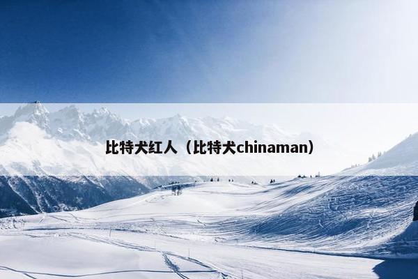 比特犬红人（比特犬chinaman）