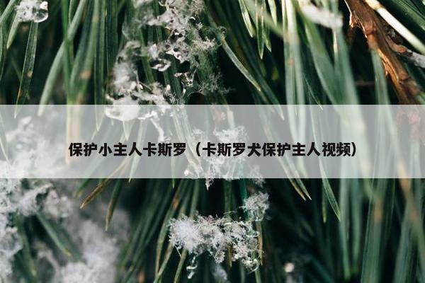 保护小主人卡斯罗（卡斯罗犬保护主人视频）