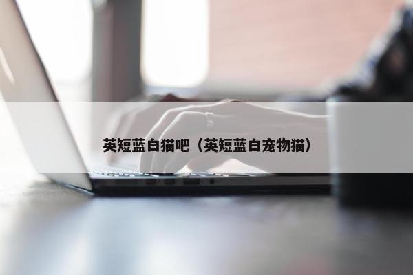 英短蓝白猫吧（英短蓝白宠物猫）