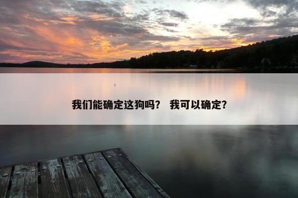 我们能确定这狗吗？ 我可以确定？