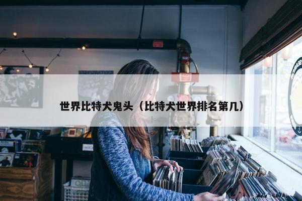 世界比特犬鬼头（比特犬世界排名第几）