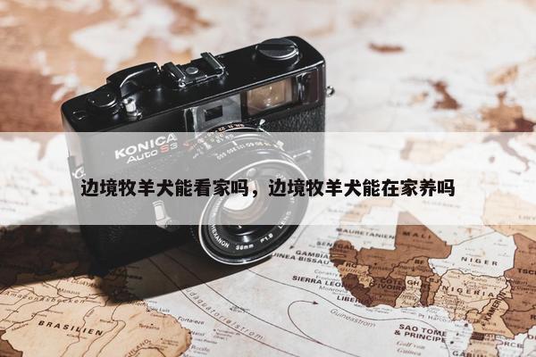 边境牧羊犬能看家吗，边境牧羊犬能在家养吗