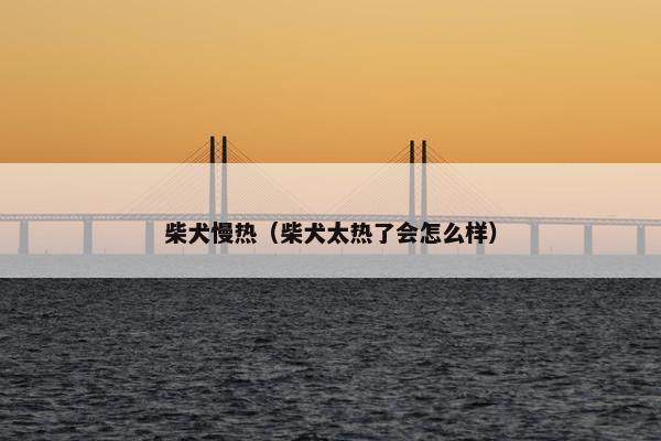 柴犬慢热（柴犬太热了会怎么样）