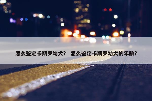 怎么鉴定卡斯罗幼犬？ 怎么鉴定卡斯罗幼犬的年龄？