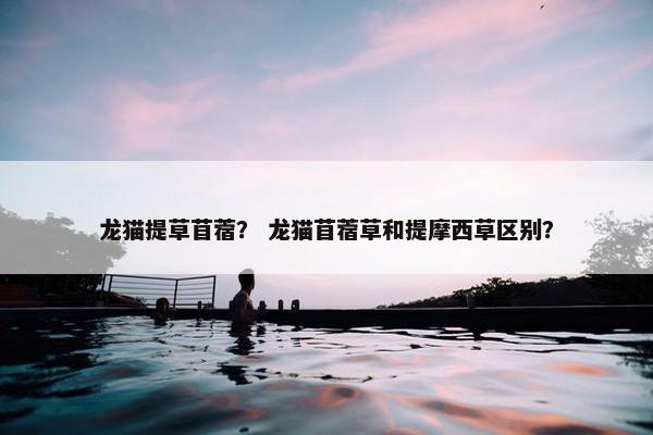 龙猫提草苜蓿？ 龙猫苜蓿草和提摩西草区别？
