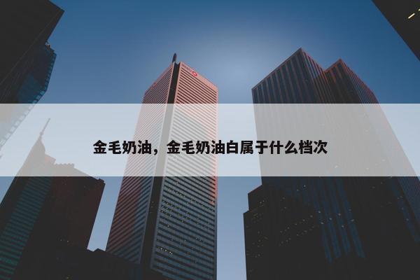 金毛奶油，金毛奶油白属于什么档次