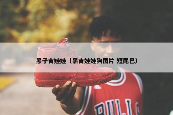 黑子吉娃娃（黑吉娃娃狗图片 短尾巴）