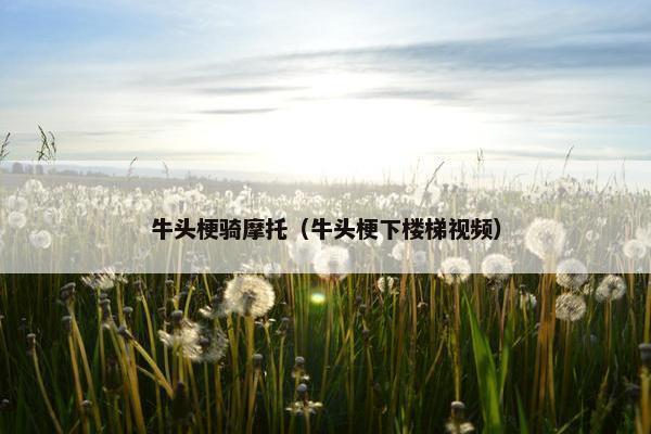 牛头梗骑摩托（牛头梗下楼梯视频）