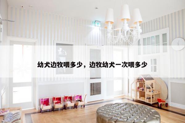幼犬边牧喂多少，边牧幼犬一次喂多少