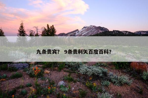 九条贵宾？ 9条贵利矢百度百科？