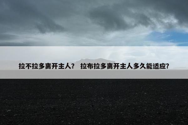 拉不拉多离开主人？ 拉布拉多离开主人多久能适应？
