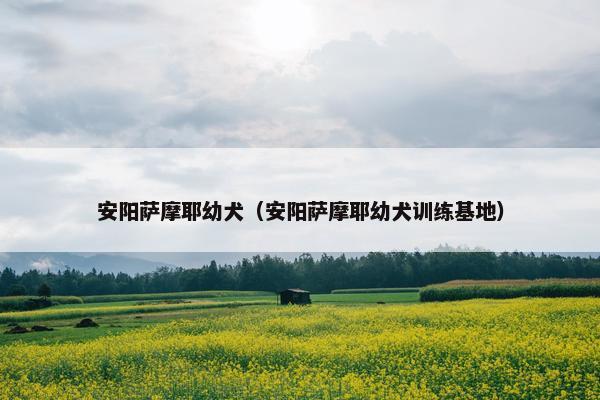 安阳萨摩耶幼犬（安阳萨摩耶幼犬训练基地）