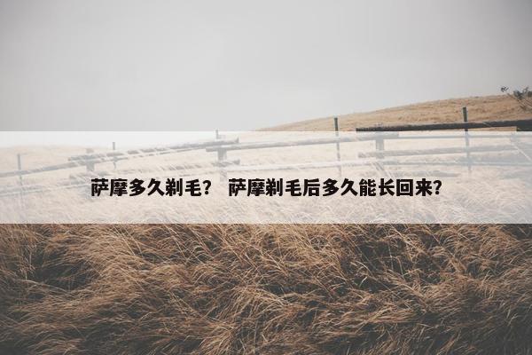 萨摩多久剃毛？ 萨摩剃毛后多久能长回来？