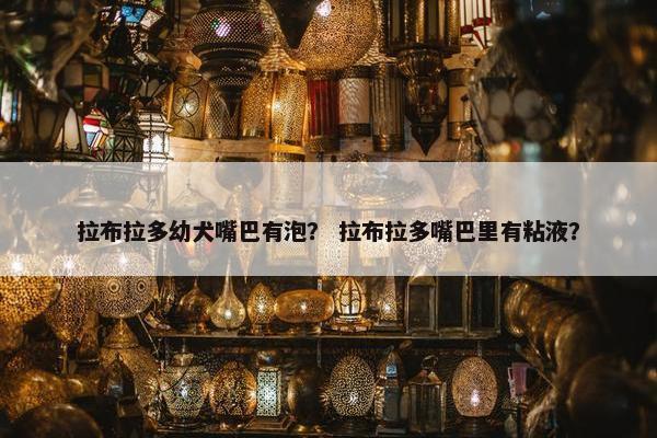 拉布拉多幼犬嘴巴有泡？ 拉布拉多嘴巴里有粘液？