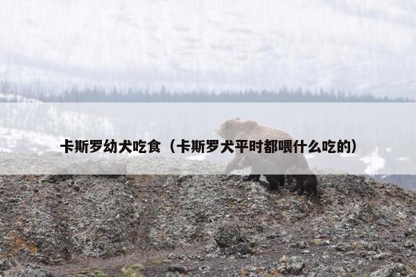 卡斯罗幼犬吃食（卡斯罗犬平时都喂什么吃的）