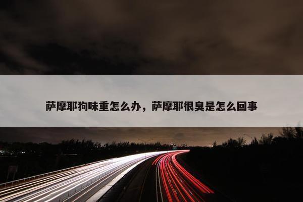 萨摩耶狗味重怎么办，萨摩耶很臭是怎么回事