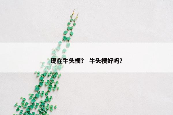 现在牛头梗？ 牛头梗好吗？