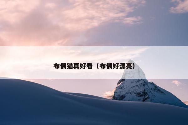 布偶猫真好看（布偶好漂亮）