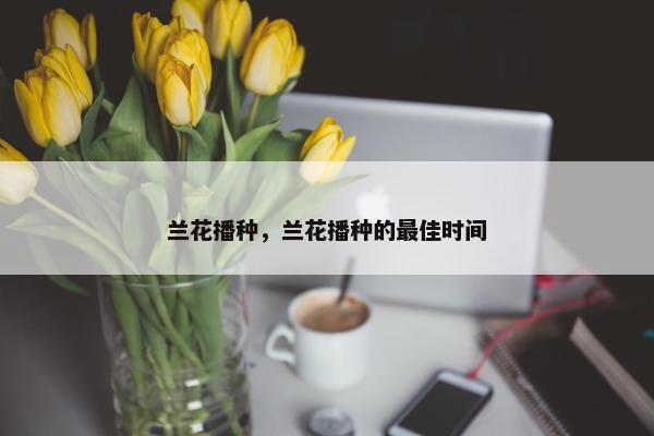 兰花播种，兰花播种的最佳时间