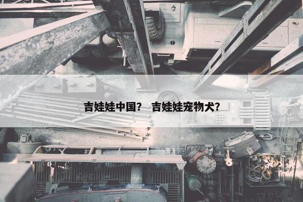 吉娃娃中国？ 吉娃娃宠物犬？
