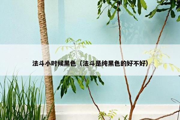 法斗小时候黑色（法斗是纯黑色的好不好）