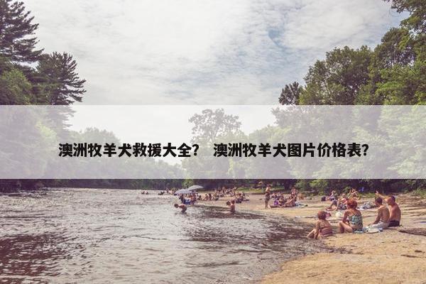 澳洲牧羊犬救援大全？ 澳洲牧羊犬图片价格表？