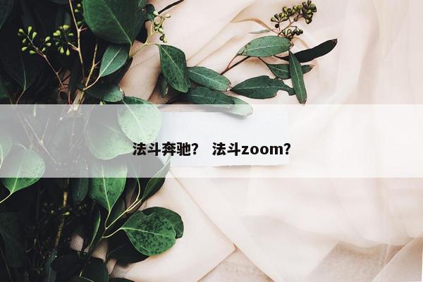 法斗奔驰？ 法斗zoom？