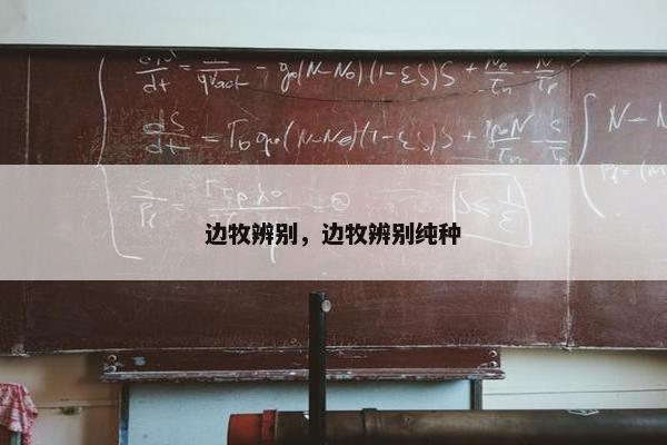 边牧辨别，边牧辨别纯种