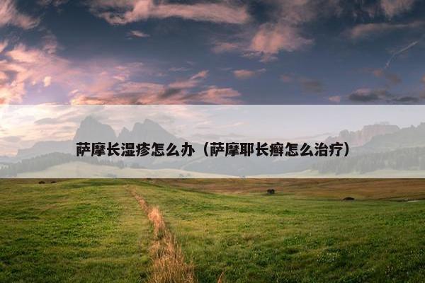 萨摩长湿疹怎么办（萨摩耶长癣怎么治疗）