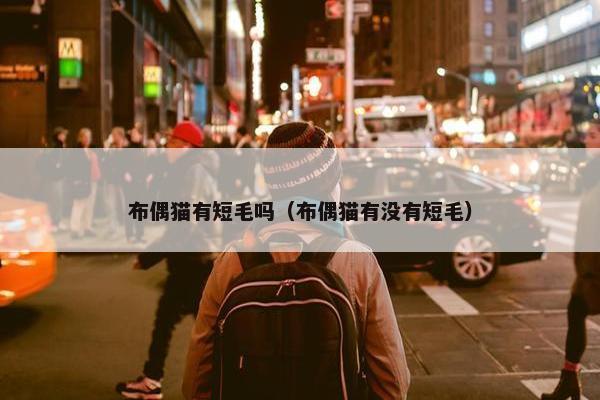 布偶猫有短毛吗（布偶猫有没有短毛）