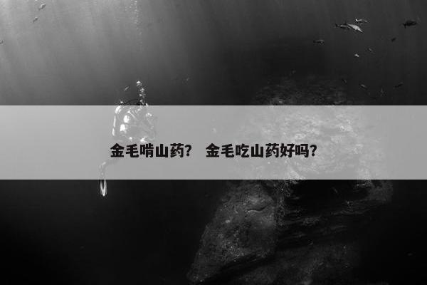 金毛啃山药？ 金毛吃山药好吗？