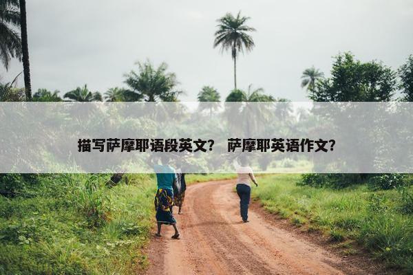 描写萨摩耶语段英文？ 萨摩耶英语作文？