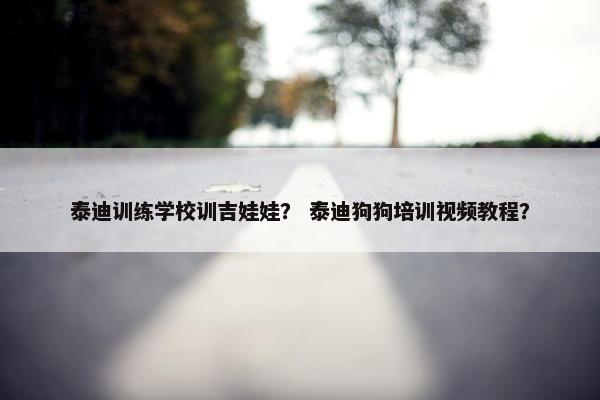 泰迪训练学校训吉娃娃？ 泰迪狗狗培训视频教程？