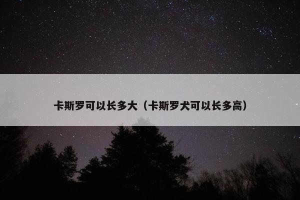 卡斯罗可以长多大（卡斯罗犬可以长多高）