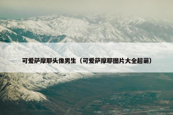 可爱萨摩耶头像男生（可爱萨摩耶图片大全超萌）