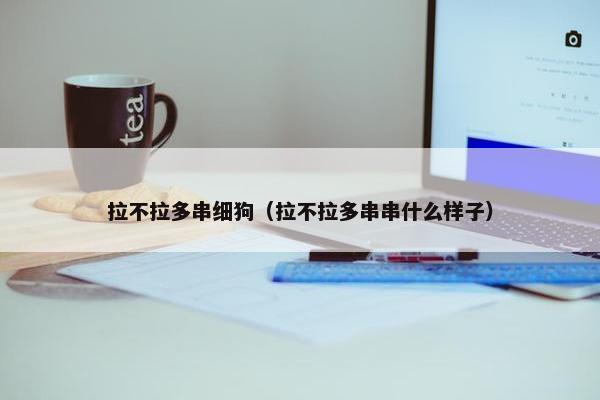 拉不拉多串细狗（拉不拉多串串什么样子）
