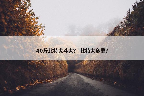 40斤比特犬斗犬？ 比特犬多重？