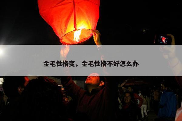 金毛性格变，金毛性格不好怎么办