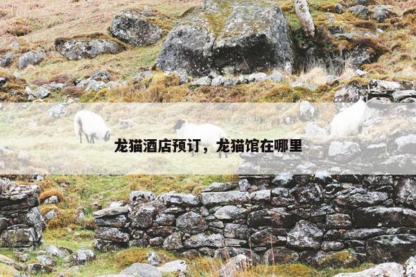 龙猫酒店预订，龙猫馆在哪里