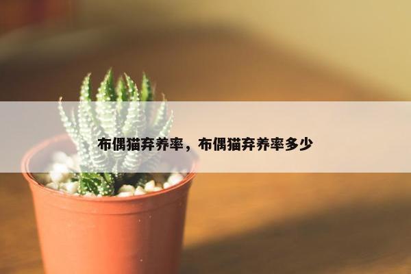 布偶猫弃养率，布偶猫弃养率多少