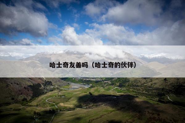 哈士奇友善吗（哈士奇的伙伴）